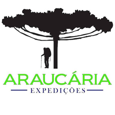 Araucaria
